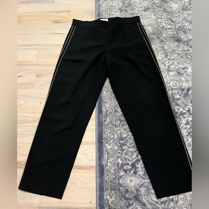 Aritzia Babaton Pants